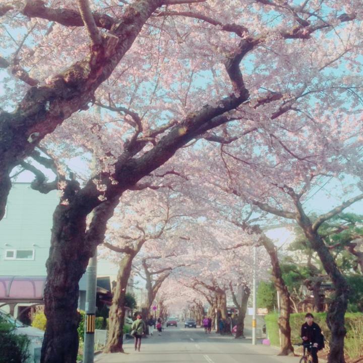 Stay Akeboshi Kan 函馆 外观 照片
